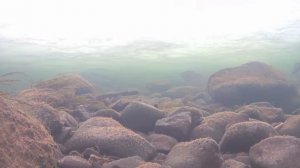 Закрытие снегоходного сезона 2023. Отличная рыбалка по хариусу, заключительная часть!