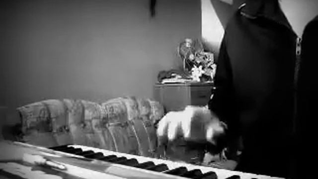 Don omar & danza kuduro 'Yamaha psr s 500 " смотреть онлайн