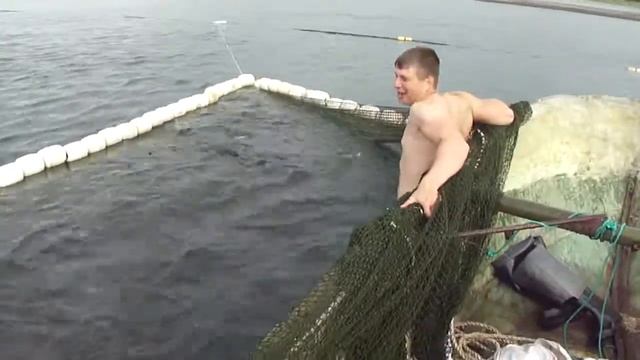 Единка 2014 смотреть онлайн