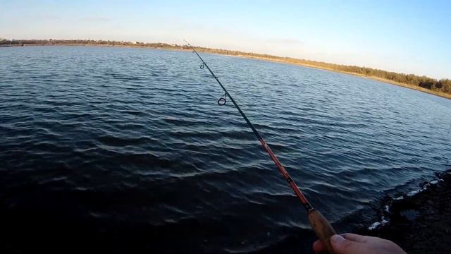 Сколько окуня в этом пруду, ловля окуня на отводной поводок осенью. смотреть онлайн