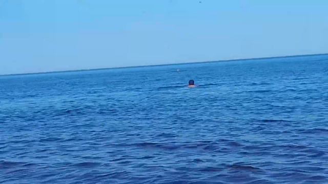 г.Санк-Пербург. Ладожское озеро. 25.06.2022 смотреть онлайн