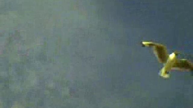 Quend!!! смотреть онлайн