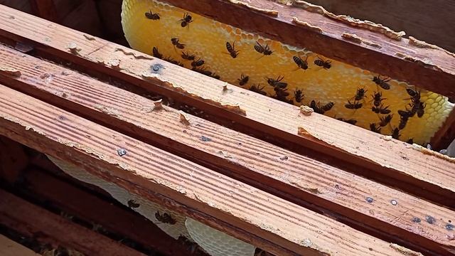 Рамки без вощины