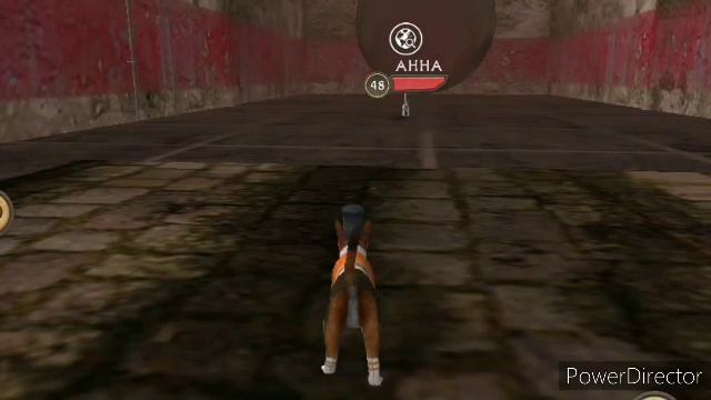 Кет Сим#что происходило когда я был АФК#ускорение 8X смотреть онлайн