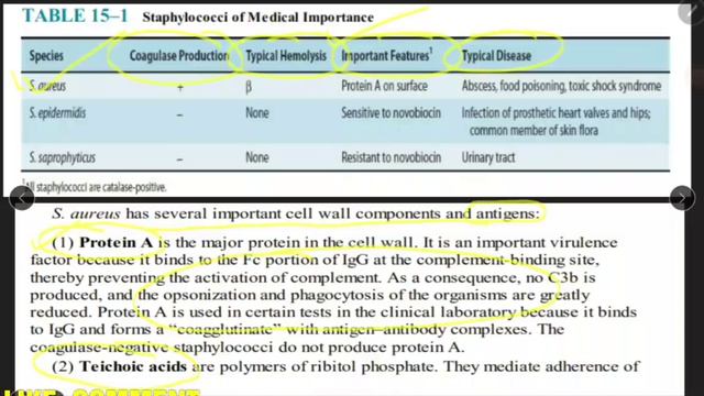 How to Read Microbiology & General Pathology Urdu/Hindi смотреть онлайн
