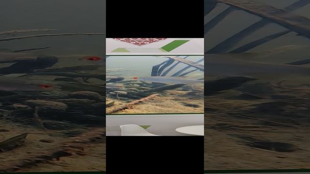 ВДНХ.Брянская область смотреть онлайн