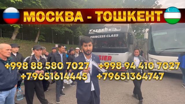 Краснодар Ташкент автобус Мариупол Ташкент автобус #краснодар #ташкент #краснодарташкентавтобус смотреть онлайн