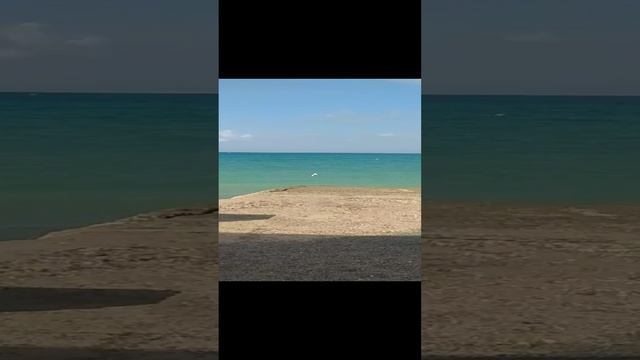 ЧАЙКИ И ВЕТЕР смотреть онлайн