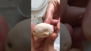 Как выровнять поверхность. Полимерная глина.