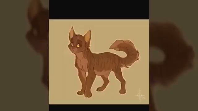 Ежевика ( коты воители )