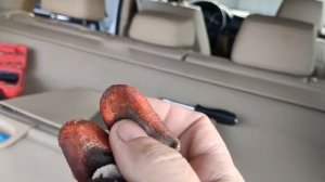 BMW X3 F25 Как снять карту пятой двери.