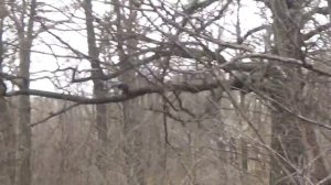 Шнива на Contyre expedition 215.65.16 и BFGoodrich Mud Terrain  215.75.15