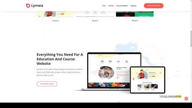 Lymea - Art and Music School WordPress Theme academy courses Kashii смотреть онлайн