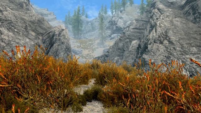 Skyrim Секреты и Интересные Моменты Упущенные игроками из виду смотреть онлайн
