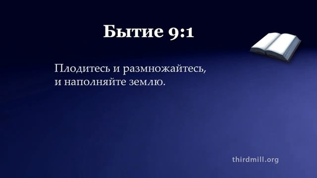Царство, заветы и канон Ветхого Завета - Урок Урок 4: Канон Ветхого Завета смотреть онлайн