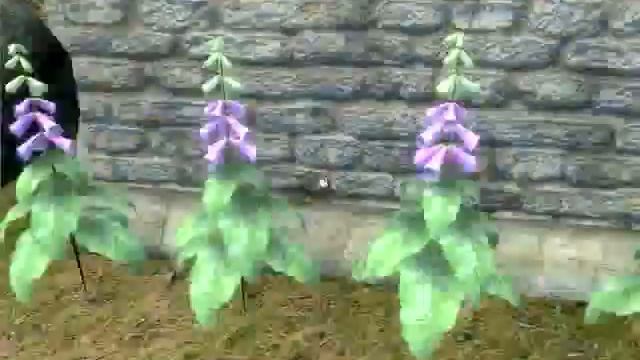 Oblivion - House Benirus Garden-Mod смотреть онлайн