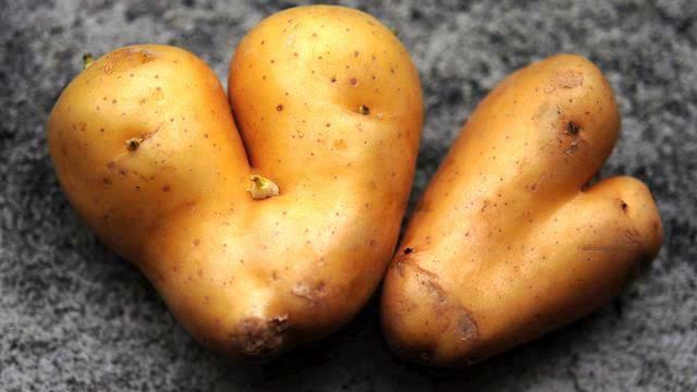 Моя мечта! Просто класс! Душа полетела! смотреть онлайн