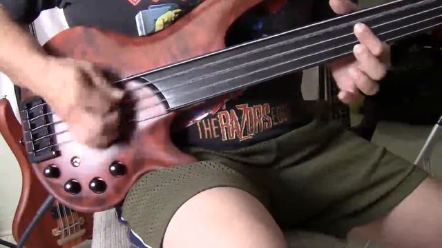 Cort Curbow five string fretless bass with a madman! смотреть онлайн