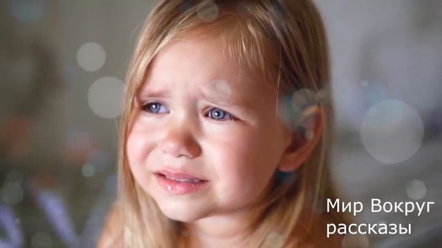 Мужчина потратил последние деньги, а когда пришло время покупать еду, отправил просить милостыню… смотреть онлайн