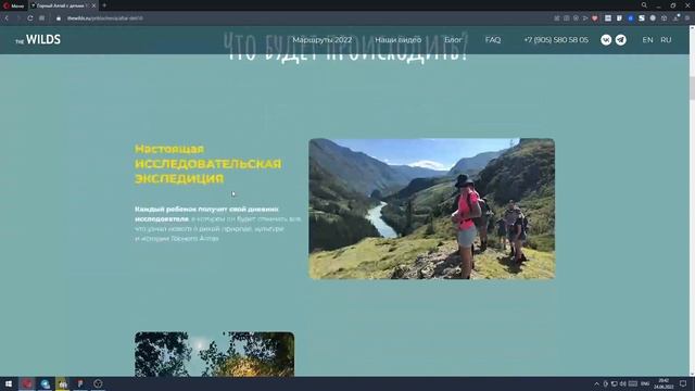 Разбор работ на Тильде №16 смотреть онлайн