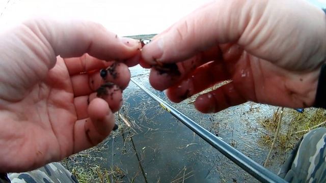 Ловля карася в мае 2022. Открытие рыболовного сезона с маховой удочкой. смотреть онлайн