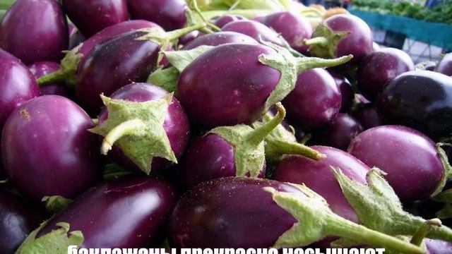 Чем полезны баклажаны для организма. И почему именно фиолетового цвета! смотреть онлайн