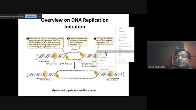Replication in Prokaryotes 2022 06 25 06 37 GMT 7 смотреть онлайн