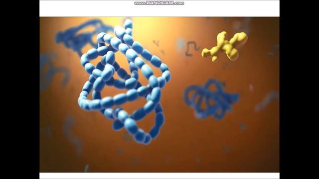 Мысырова Д.Д. Дисциплина: Биология. Тема: Особенности строение и функций органоидов в клетки смотреть онлайн