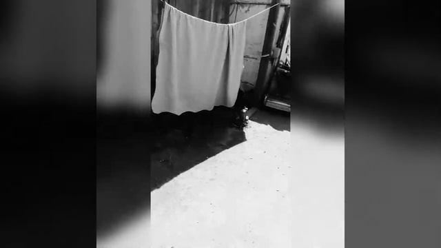 Она моя смотреть онлайн