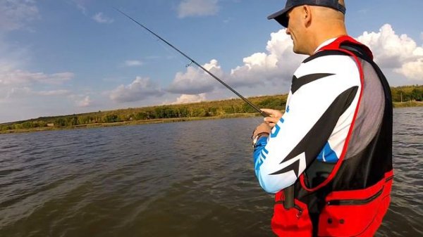 Как поймать судака, выбор приманки и типы проводок!