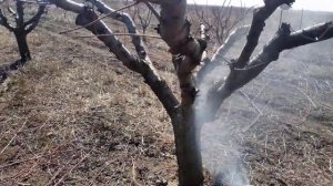 Турбина пушка для ранцевого опрыскивателя.