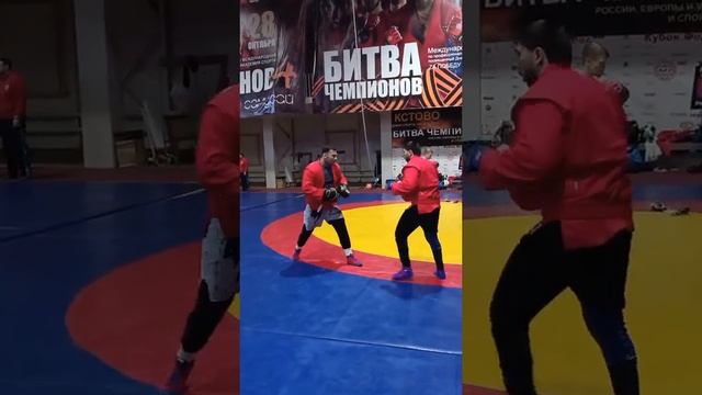 Сборная Туркменистана по боевому самбо на сборах совместная тренировка с бойцами г.Кстово смотреть онлайн