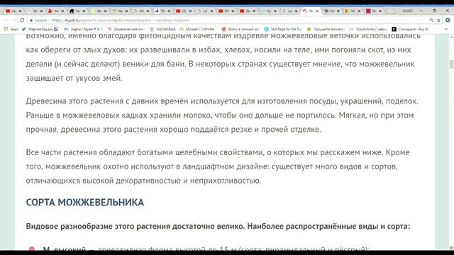 Можжевельник Лекарственное растение. смотреть онлайн
