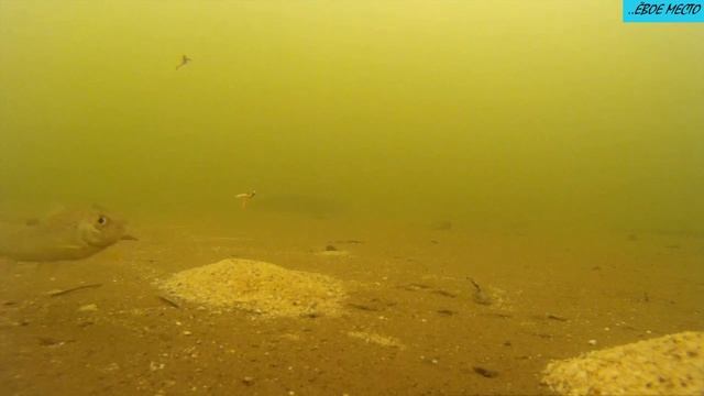 Хитрый хариус на Енисее смотреть онлайн