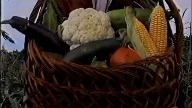 2 Классификация удобрений Технология изобилия урожая по методу Миттлайдера) смотреть онлайн