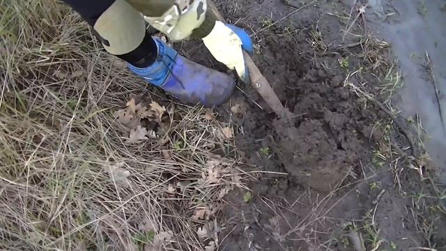 НАХОДКИ на СТАРОМ ХУТОРЕ с MD6350 и NOKTA|Makro Anfibio Multi