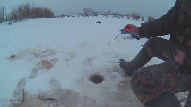 Ловля ельца и плотвы на чертика. смотреть онлайн