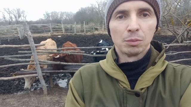 Чем заняться? Какой скот разводить или птицу? На чём можно заработать в деревне? смотреть онлайн