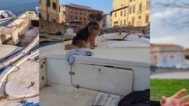 FOLLEMENTE GENIALE l'idea con cui ho raggiunto una VELOCITÀ ASSURDA con il mio monopattino смотреть онлайн