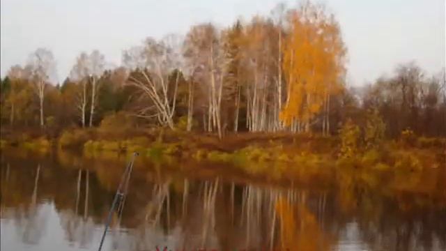 Осень. Сказочный чертог....wmv смотреть онлайн