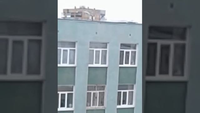 Магадан#ворона#чайка#вороны победили# смотреть онлайн