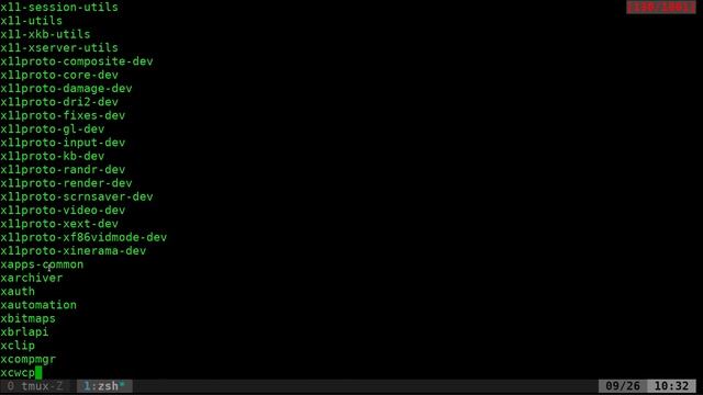 12 What Packages are installed on your Debian Linux System смотреть онлайн