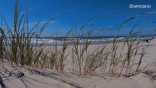 Они самые упорные и стойкие: Топ 4 смотреть онлайн