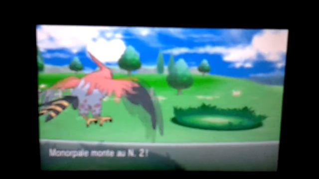Reptincel shiny parc safari xy смотреть онлайн