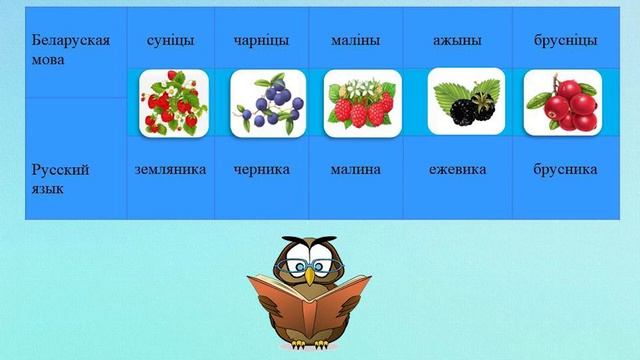 Тема 4. Назоўнік. Род, лік, склон назоўнікаў. Змяненне назоўнікаў у адзіночным і множным ліках смотреть онлайн