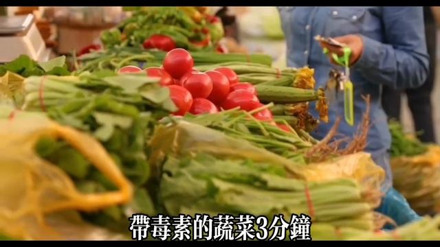 【乐厨怡妈】爲了家人的安住，這6種食物一定要先焯水再吃，不然等於慢性中毒，別等去醫院才後悔，6種蔬菜是營養全能王，不懂吃太可惜  。