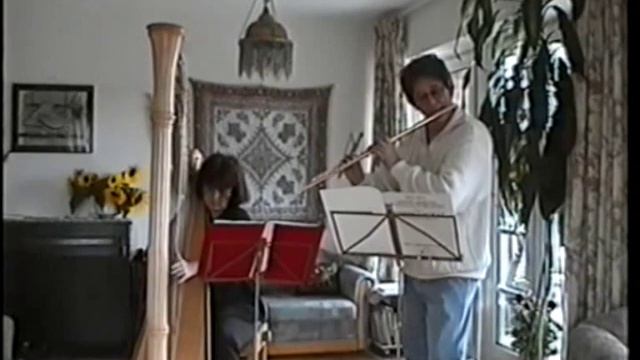 Flute - Hans D. Mühre - Schubert: "Serenade" (Flute & Harp) смотреть онлайн