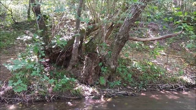 Село и Река рядом. смотреть онлайн