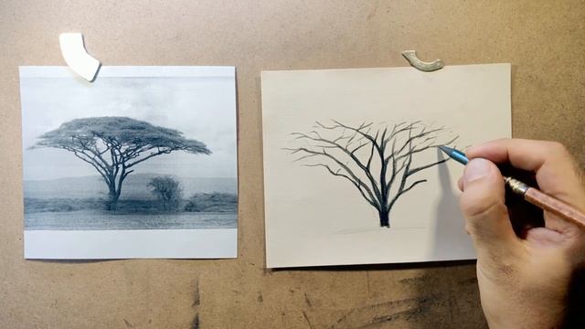 УРОК 6 - КАК АФРИКАНСКОЕ ДЕРЕВО | Рисуем шаг за шагом | детальный разбор! | Рисунки для начинающих смотреть онлайн