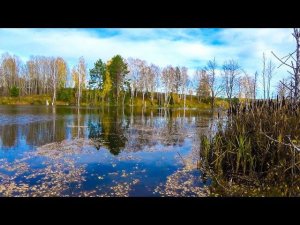 Пруд который копали ДЭТом!